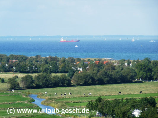 Blick vom Holm