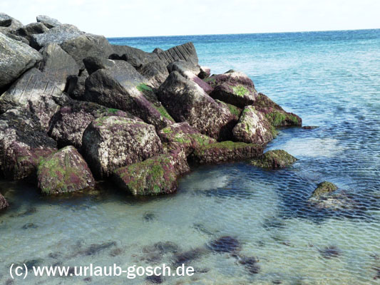 Ebbe